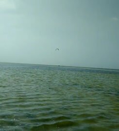 Isla Blanca Kiteboarding & Wingfoil School Cancun