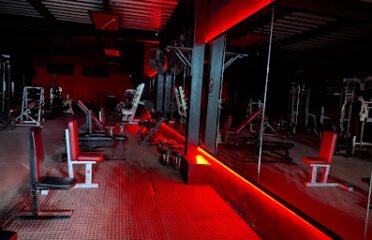Pro Gym World Fitness