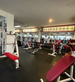 AM GYM High Performance