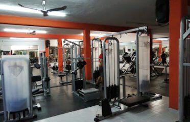 Style Gym