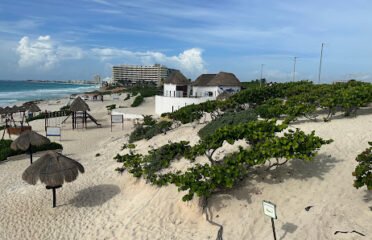 AMS – Mexican Surf Academy